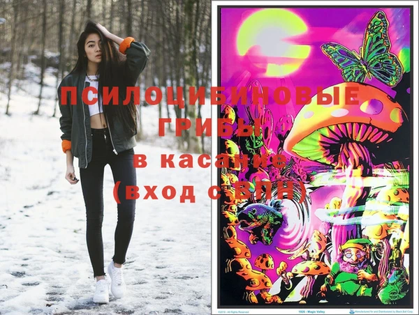 ГАЛЛЮЦИНОГЕННЫЕ ГРИБЫ Абдулино