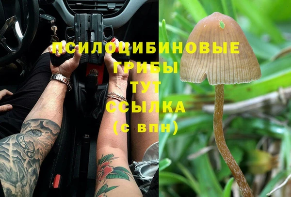 шишки Алексин