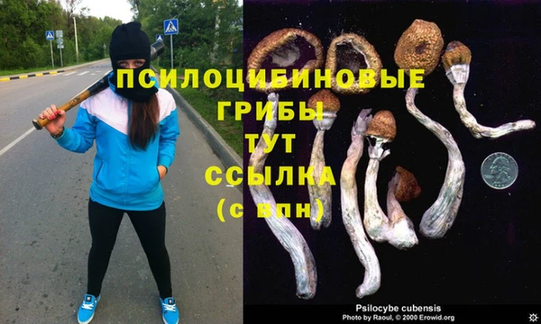 марихуана Медногорск
